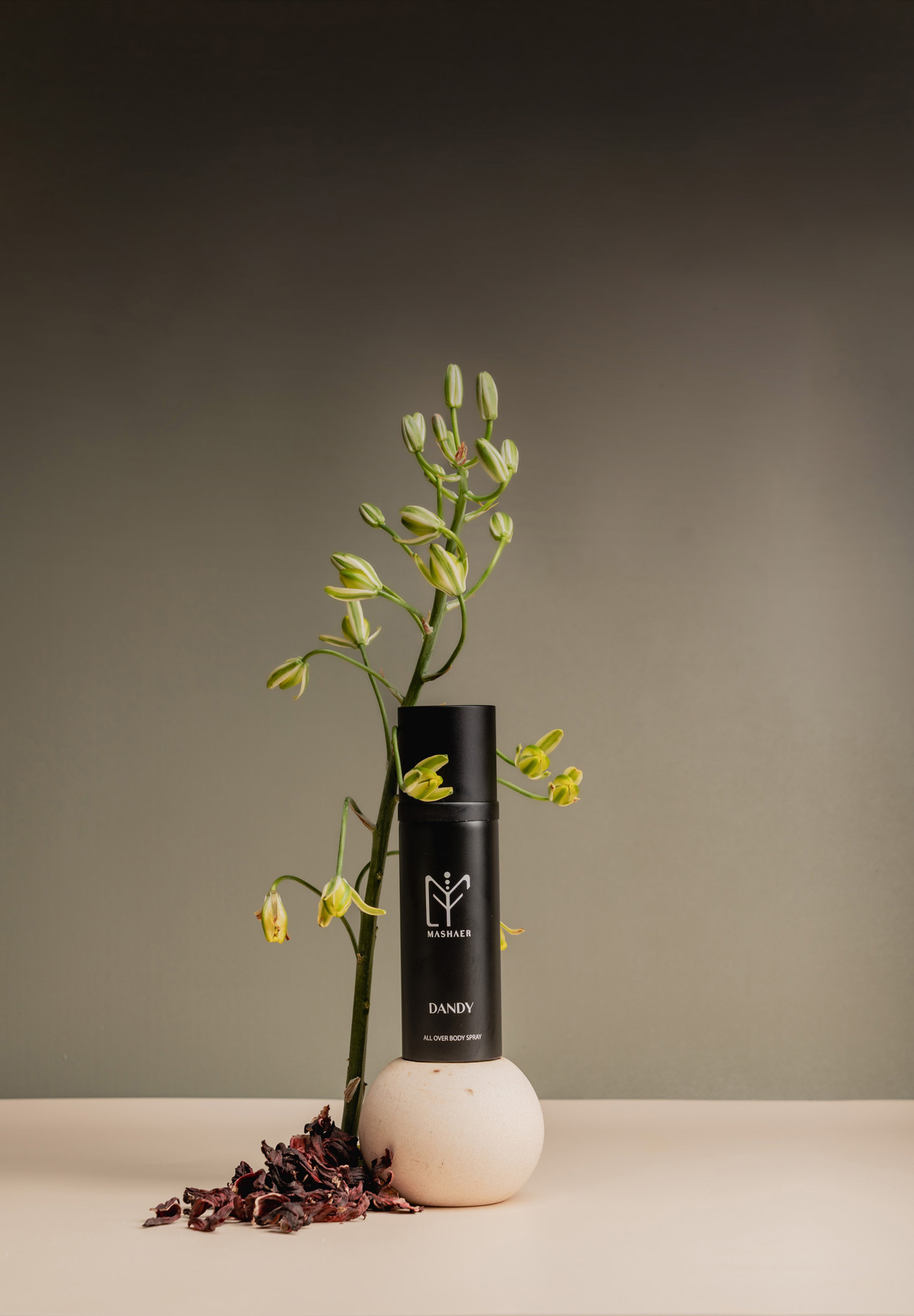 ALL OVER SPRAY BLACK DANDY